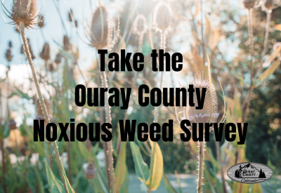Noxious Weed Survey