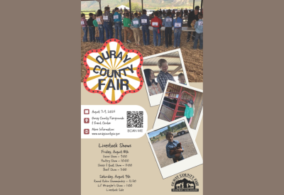 Ouray County Fair Poster